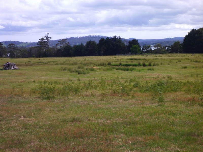 51 Calverts Lane, Gravelly Beach TAS 7276