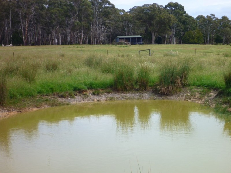 51 Calverts Lane, Gravelly Beach TAS 7276