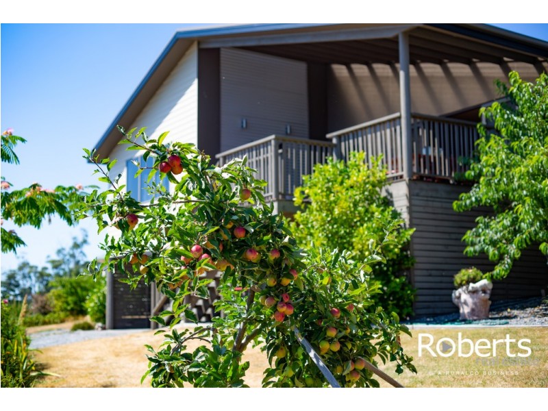 6 Beaton Street, Exeter TAS 7275