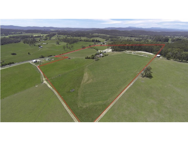 3343 West Tamar Highway, Sidmouth TAS 7270