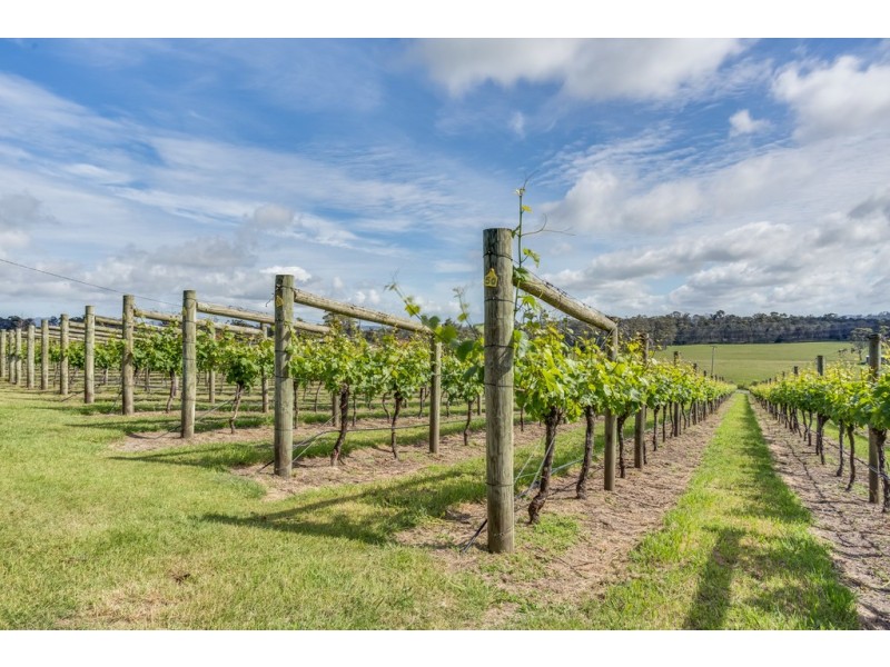 3343 West Tamar Highway, Sidmouth TAS 7270