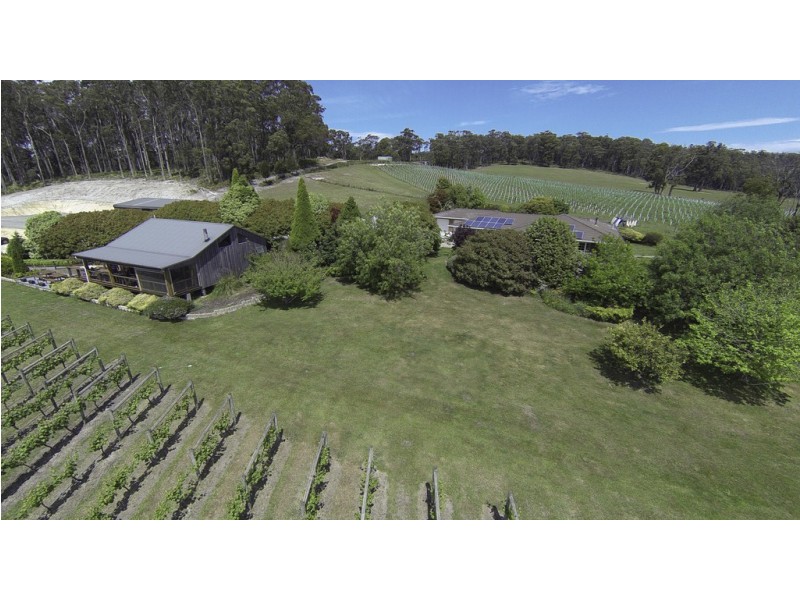 3343 West Tamar Highway, Sidmouth TAS 7270