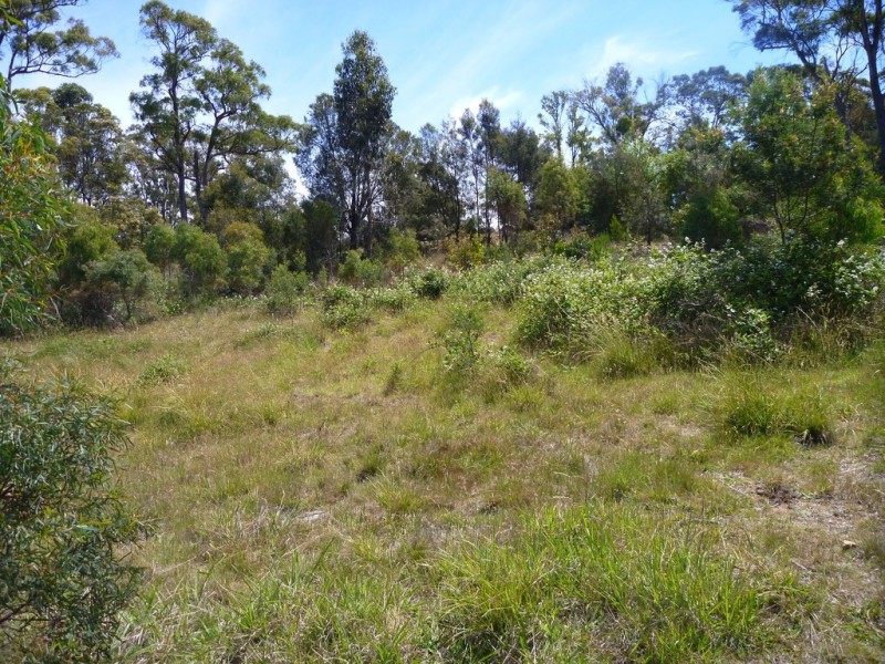 23 Annears Road, Blackwall TAS 7275