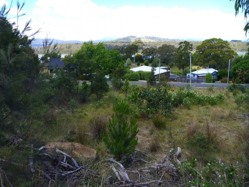 23 Annears Road, Blackwall TAS 7275