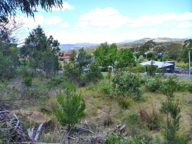 23 Annears Road, Blackwall TAS 7275