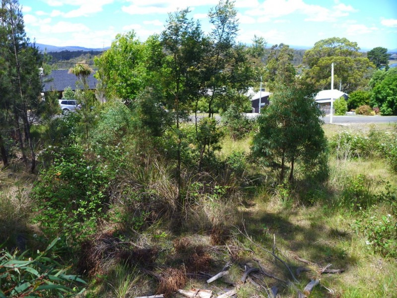23 Annears Road, Blackwall TAS 7275