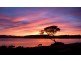 54 West Bay Road, Rowella TAS 7270