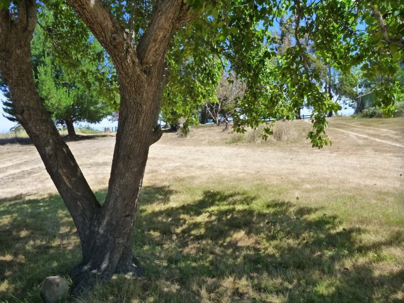 10 Weld Street, Beaconsfield TAS 7270