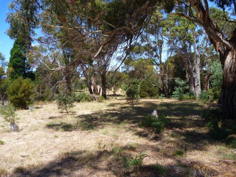 10-12 Archer Street, Gravelly Beach TAS 7276