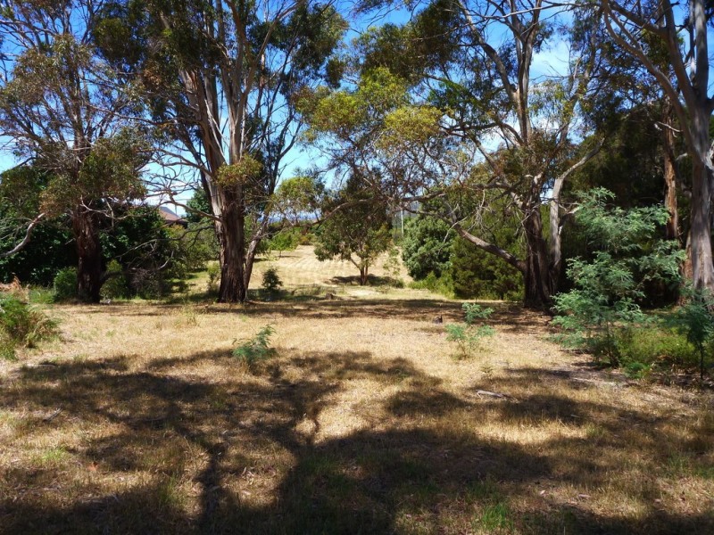 10-12 Archer Street, Gravelly Beach TAS 7276