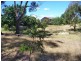 10-12 Archer Street, Gravelly Beach TAS 7276