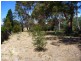 10-12 Archer Street, Gravelly Beach TAS 7276