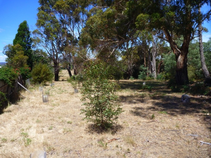 10-12 Archer Street, Gravelly Beach TAS 7276