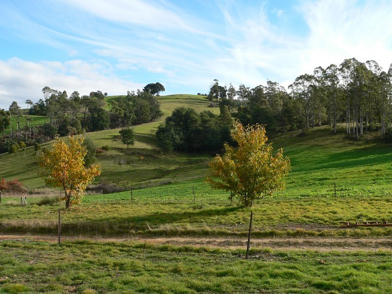 90 O’Keefes Road, Winkleigh TAS 7275