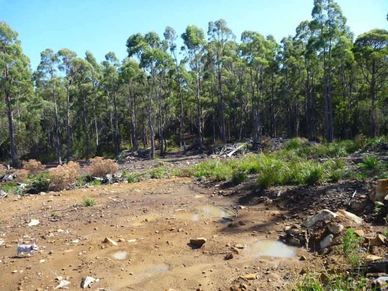 Lot 1 Priestleys Lane, Birralee TAS 7303