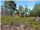 Lot 1 Priestleys Lane, Birralee TAS 7303