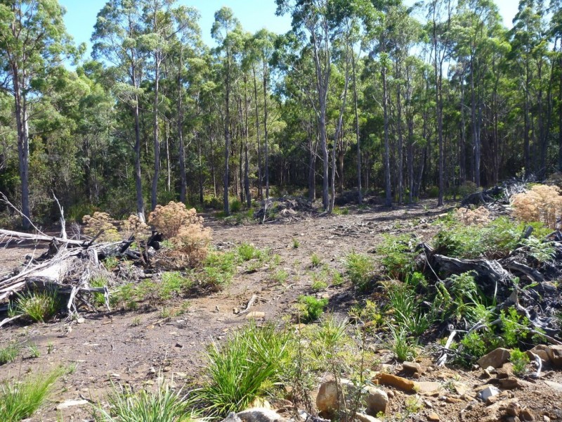 Lot 1 Priestleys Lane, Birralee TAS 7303