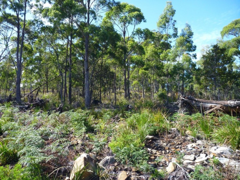 Lot 1 Priestleys Lane, Birralee TAS 7303