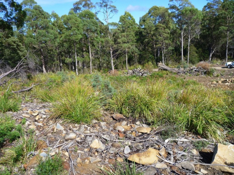 Lot 1 Priestleys Lane, Birralee TAS 7303