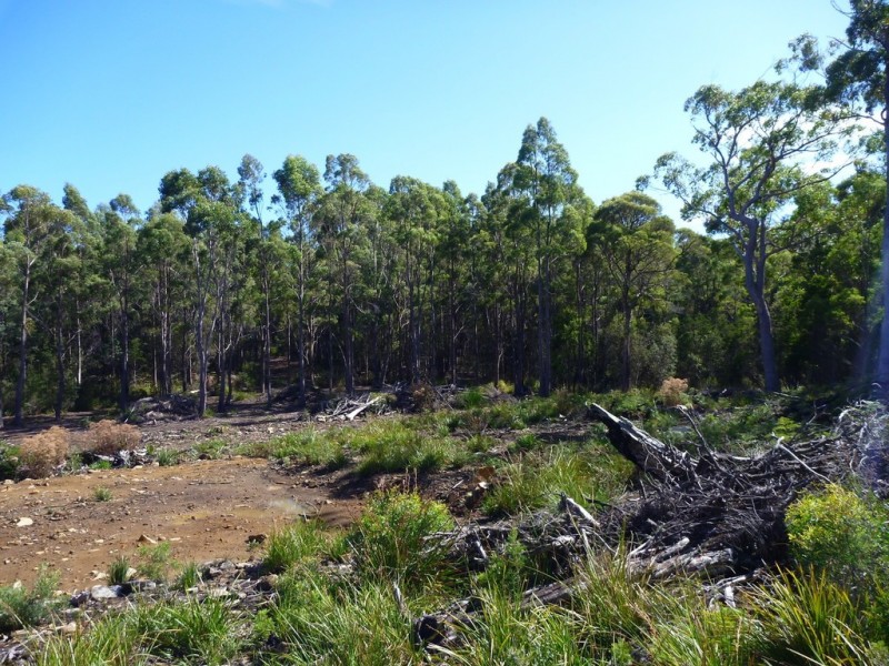 Lot 1 Priestleys Lane, Birralee TAS 7303