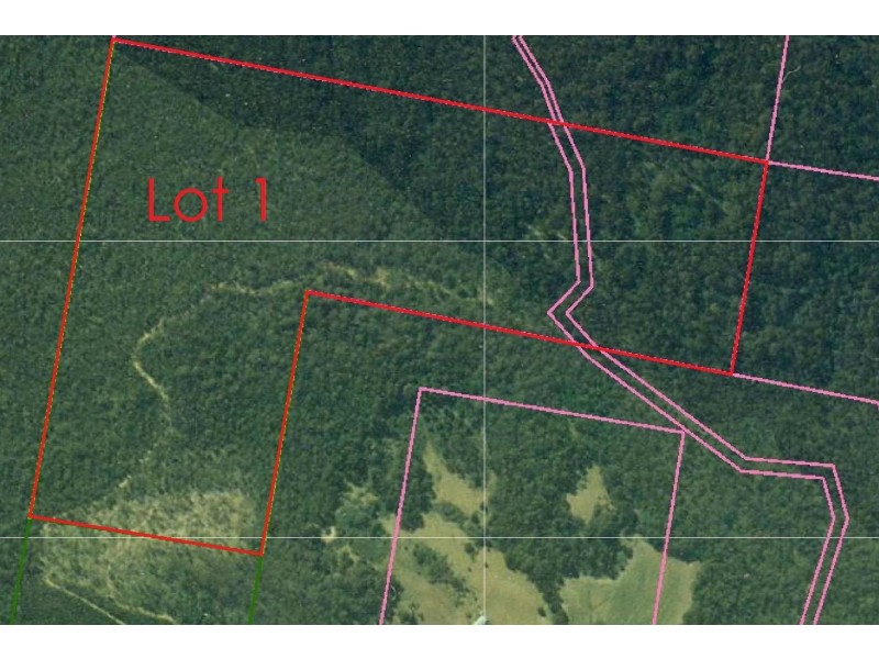 Lot 1 Priestleys Lane, Birralee TAS 7303 Floorplan