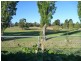3/4 Roger Retreat, Newnham TAS 7248