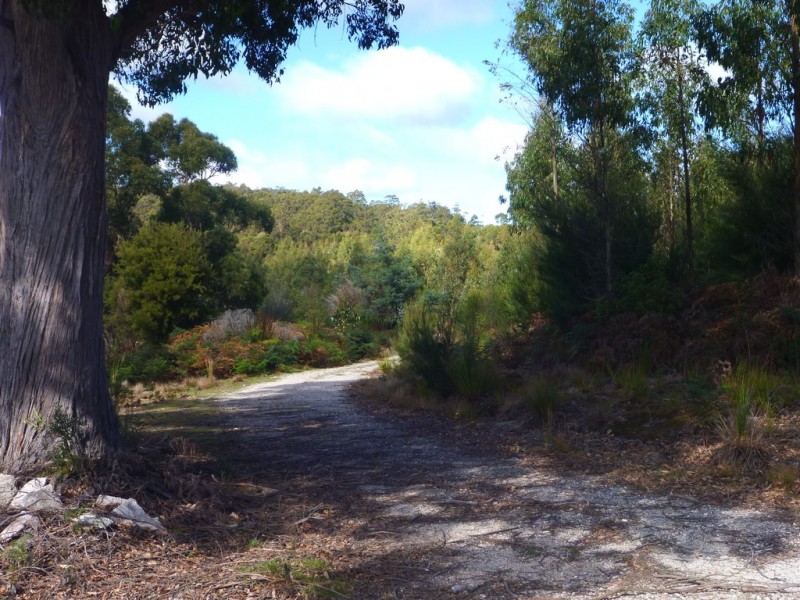 Lot 2 Hodgetts Road, Holwell TAS 7275