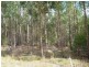 Lot 2 Hodgetts Road, Holwell TAS 7275