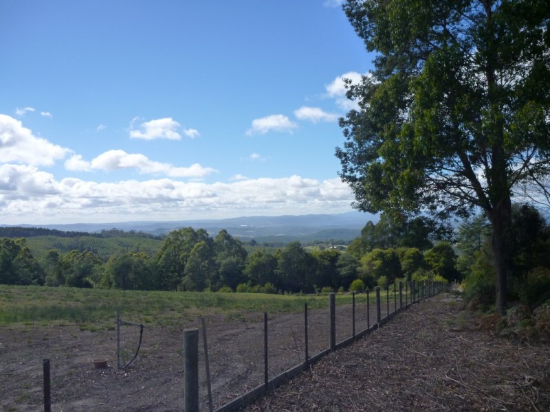 Lot 2 Hodgetts Road, Holwell TAS 7275