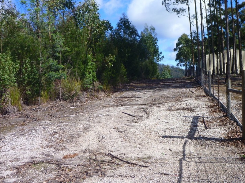 Lot 2 Hodgetts Road, Holwell TAS 7275