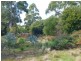 Lot 2 Hodgetts Road, Holwell TAS 7275