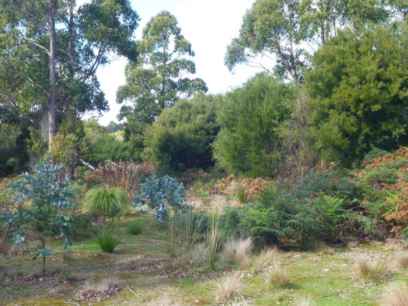 Lot 2 Hodgetts Road, Holwell TAS 7275