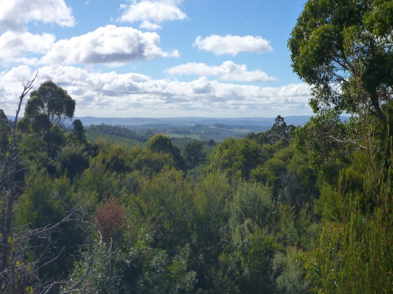 Lot 2 Hodgetts Road, Holwell TAS 7275