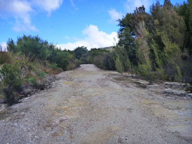 Lot 2 Hodgetts Road, Holwell TAS 7275