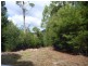 Lot 2 Hodgetts Road, Holwell TAS 7275