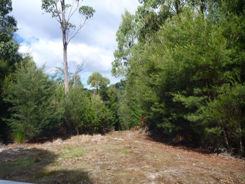 Lot 2 Hodgetts Road, Holwell TAS 7275