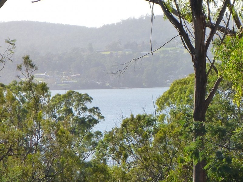 195 Deviot Road, Robigana TAS 7275