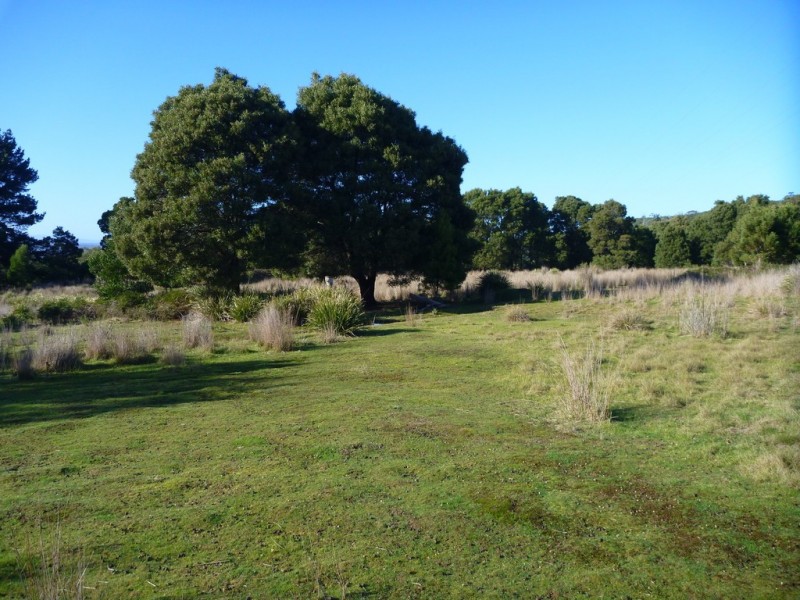 195 Deviot Road, Robigana TAS 7275