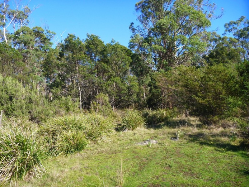 195 Deviot Road, Robigana TAS 7275