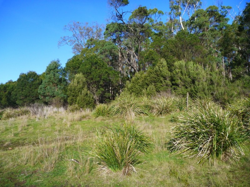 195 Deviot Road, Robigana TAS 7275