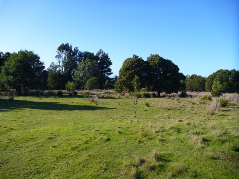 195 Deviot Road, Robigana TAS 7275