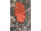 195 Deviot Road, Robigana TAS 7275