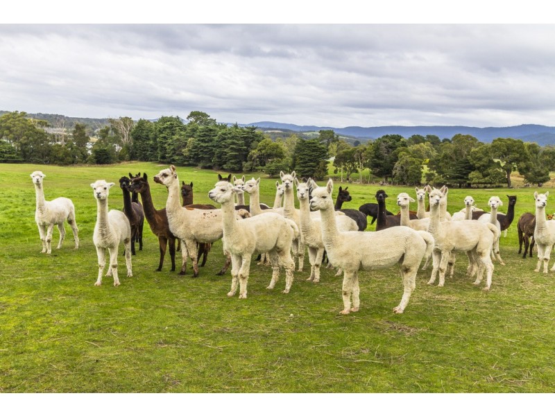 108 Clarence Point Road, Clarence Point TAS 7270