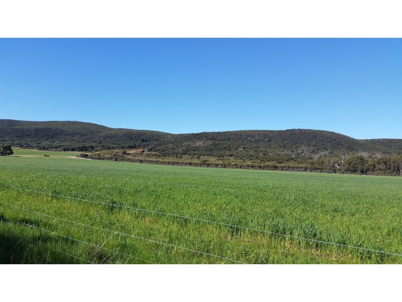 684 Palana Road, Whitemark TAS 7255