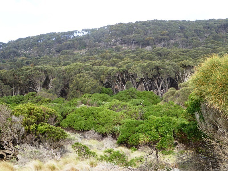 PID 7557661 North East River Road, Flinders Island TAS 7255