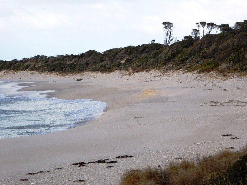 PID 7557661 North East River Road, Flinders Island TAS 7255