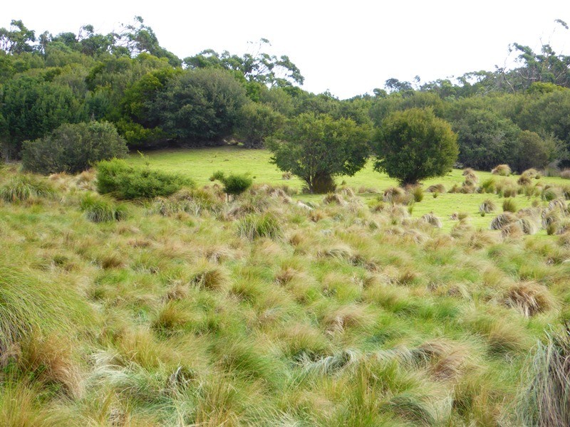 PID 2109632 North East River Road, Palana TAS 7255