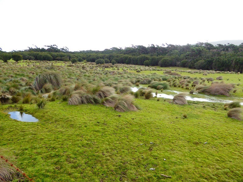 PID 2109632 North East River Road, Palana TAS 7255