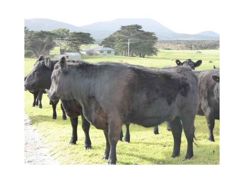 839 Lady Barron Road, Ranga, Flinders Island TAS 7255