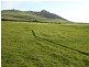 839 Lady Barron Road, Ranga, Flinders Island TAS 7255